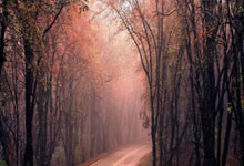 官方:马特森递补进入荷兰国家队,替代因病继续缺席的廷贝尔.