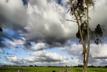 bb体育:绝杀+制胜一击:小瓦两战湖人69+20成克星 美媒PS嘲讽詹皇东契奇.